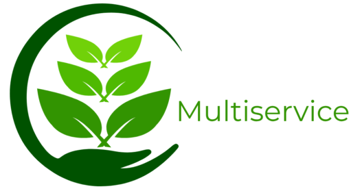 cropped hvids multiservice logo 1000 x 1000px.png